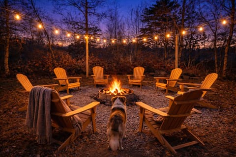 Gather by the glowing fire as string lights twinkle—cozy, pet-friendly nights under the trees.