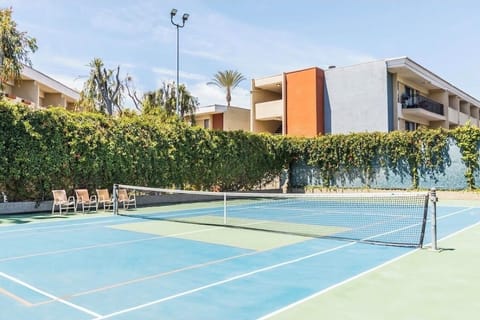 Sport court