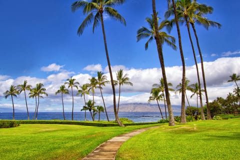 Path to Beach