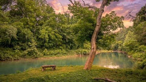 Creek view