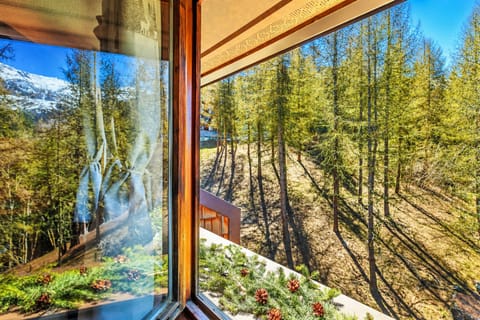 Apartment, 1 Bedroom, Mountainside | Mountain view