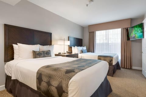 Unwind in crisp linens and bright, calming twin beds.