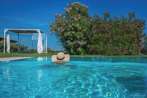 Autumn, Pool, Spring, Summer