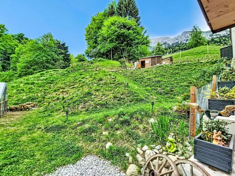 Grass, Natural Landscape, Landscape, Shrub, Rural Area, Land Lot, Groundcover, Cottage, Garden