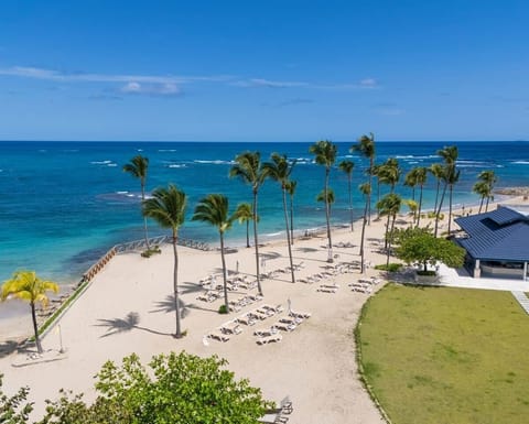Experience paradise from above with this captivating aerial view of the beach. The blend of soft sands, clear waters, and palm trees creates an idyllic setting, perfect for unwinding and enjoying the beauty of nature during your stay.