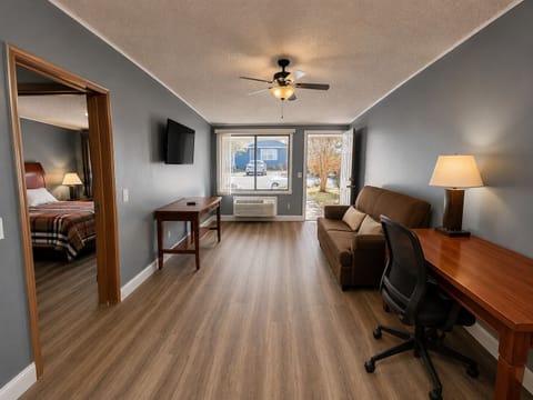 Deluxe Apartment | Living area
