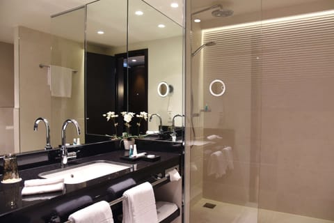 Minibar, in-room safe, desk, laptop workspace