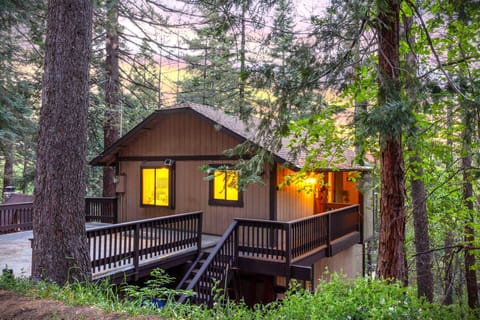 Escape to a peaceful forest cabin with wraparound deck space, warm evening light, and towering trees all around.