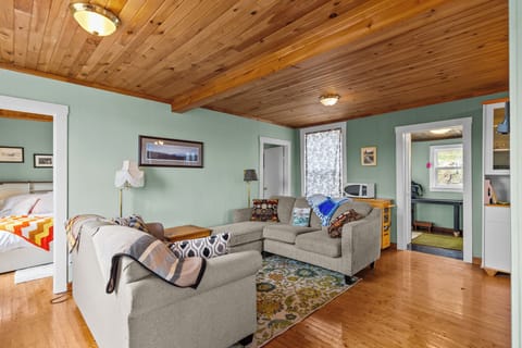 Bright cozy living room with wood ceiling and natural light