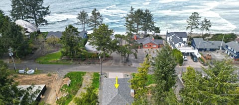 Aerial view of a coastal neighborhood property with ocean views, mature trees, and nearby beach access in a quiet residential setting.