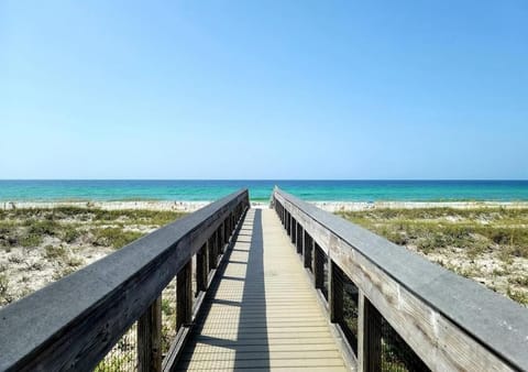 Condo, 1 Queen Bed with Sofa bed (Tradewinds Condominium #25) | Beach
