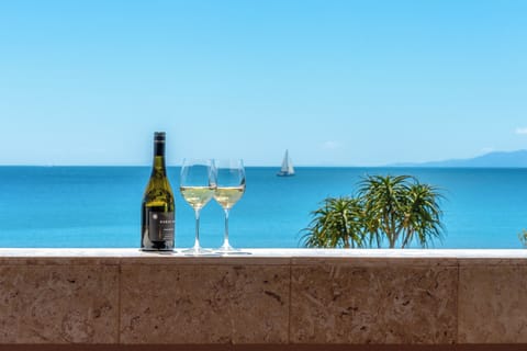 Comfort Apartment, Ocean View | Beach/ocean view