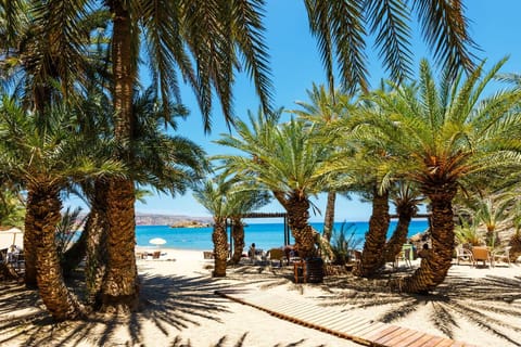 Studio, 1 Bedroom, Accessible, Smoking | Beach