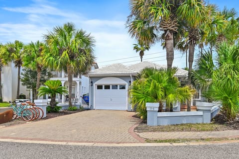 Welcome to Peachy Palm