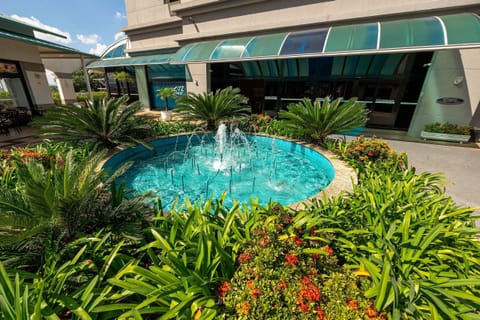 Deluxe Apartment | Pool | Outdoor pool