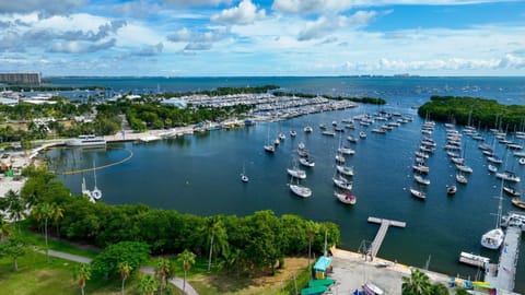 Experience the calm waters of a bustling marina, framed by lush trees and a sky alive with clouds.