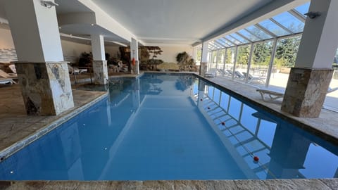 Glide through calm waters in a spacious, serene pool hall.