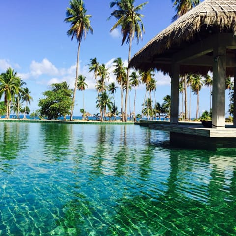 Outdoor pool, open 8:00 AM to 8:00 PM, sun loungers