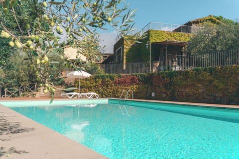 Autumn, Pool, Spring, Summer