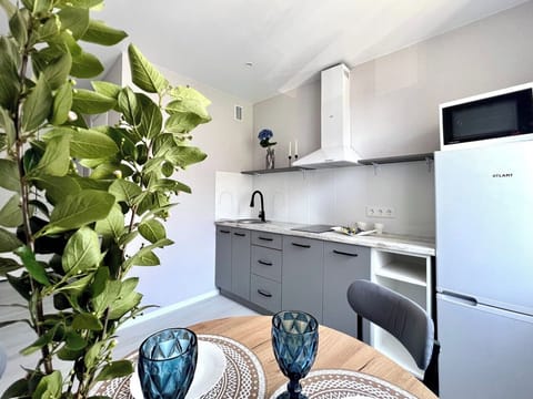 Standard Apartment, 1 Bedroom | Private kitchen | Electric kettle, griddle, cleaning supplies, paper towels