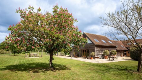 Moonlight Barn's garden is home to an array of wonderful wildlife and plants.