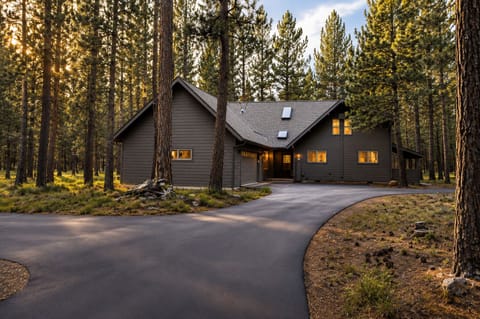 A modern mountain retreat nestled among towering pines, offering a private forest setting with warm, welcoming interiors and convenient parking for a seamless arrival experience.