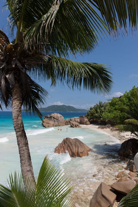 Beach nearby, white sand