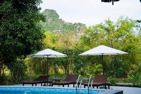 Outdoor pool, pool umbrellas, sun loungers