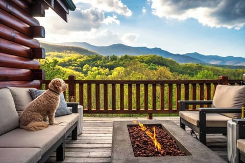 Zadie knows the best seat on the deck — gather around the gas fire pit as the mountains glow at golden hour. Dog-friendly, view-obsessed, totally unforgettable.