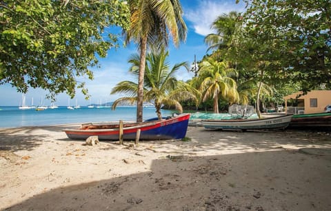 Plage de Anse a l’Ane à quelques mètres du logement « Planteur »