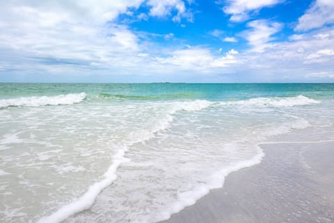 Venice Beach FL