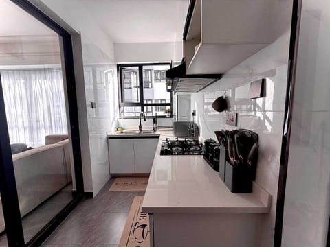 Comfort Apartment, 2 Bedrooms, Balcony, Pool View | Private kitchen