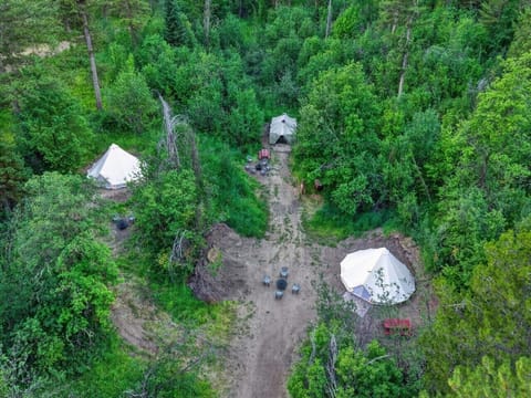 16-web-or-mls-Marcy Curr 1158 Snake River Rd 024