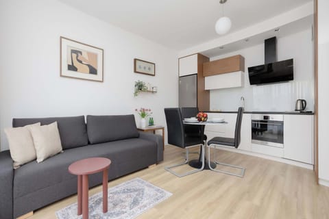 Stylish open-plan living room with sofa and fully equipped kitchen