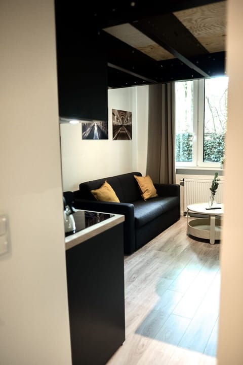 Comfortable Sofa convertible into a double bed
