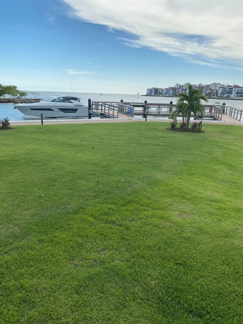 Gorgeous view from the living room.