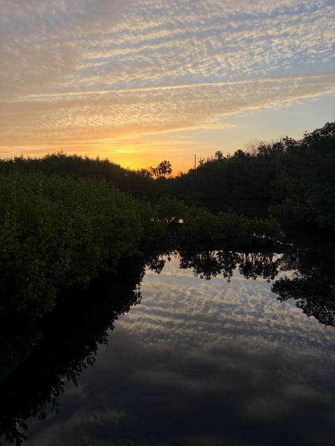Sunset view in the back yard overlooking Mullins Creek