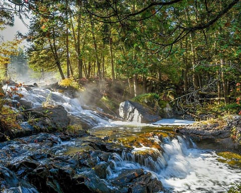 Your own private waterfall in North Frontenac. Swim, tube, or relax by the falls
