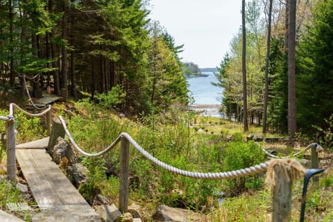 The path down to the dock