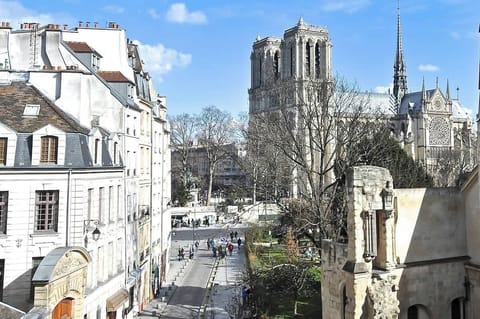 THE VIEW ON NOTRE DAMEFROM YOUR WINDOW