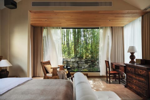 Premier Double Room | Down comforters, minibar, blackout drapes