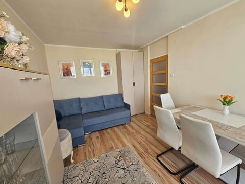 A spacious living room layout reveals a comfortable blue sofa arranged next to a neat dining table with white chairs. Polished wooden flooring and soft, neutral wall tones maximize the sense of space and light.