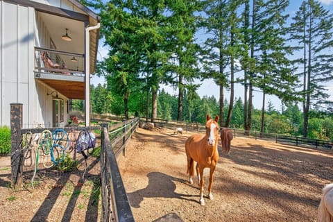 Outdoor Area | Horse Corral | Tree-Lined Setting