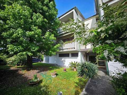 Shrub, Residential Area, Home, Garden, Estate, Yard, Shade, Landscaping, Driveway, Backyard