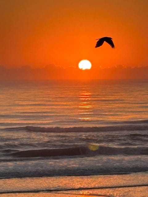 Beach sunrise 