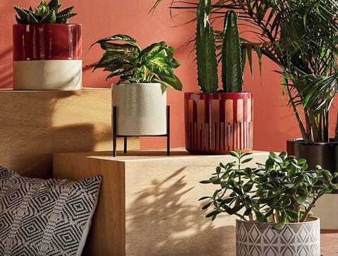 Standard Double Room, Patio | Interior
