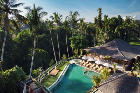 Outdoor pool, sun loungers