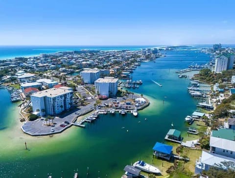 Aerial View Dolphin Point