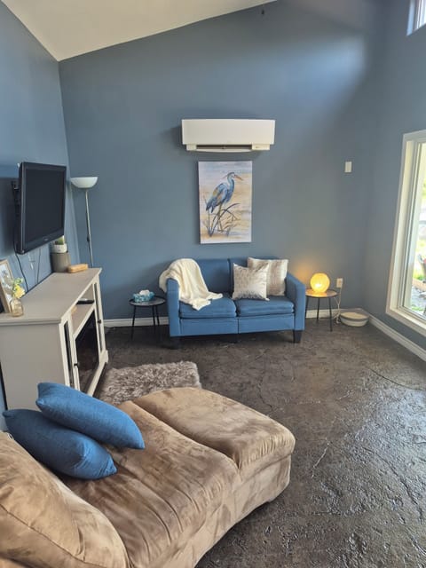Living room with sofa sleeper
