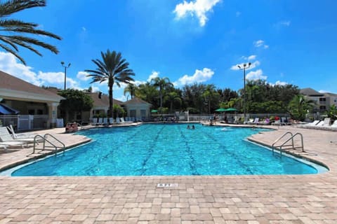 Outdoor swimming pool with lounge chairs and palm trees under a clear blue sky